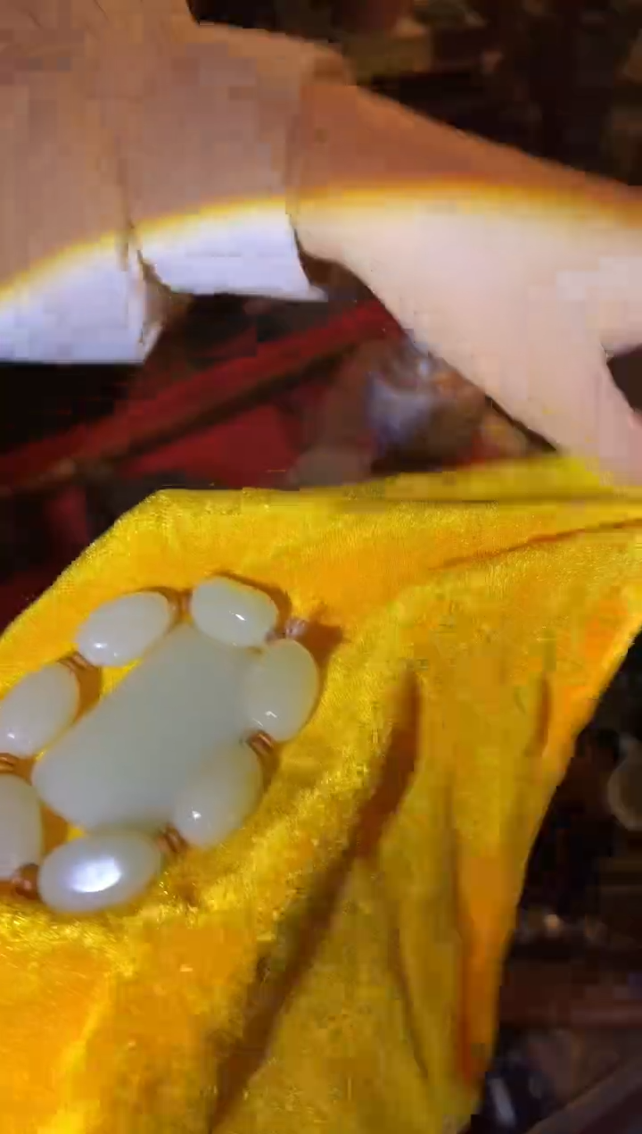 一一一006和白无事+001