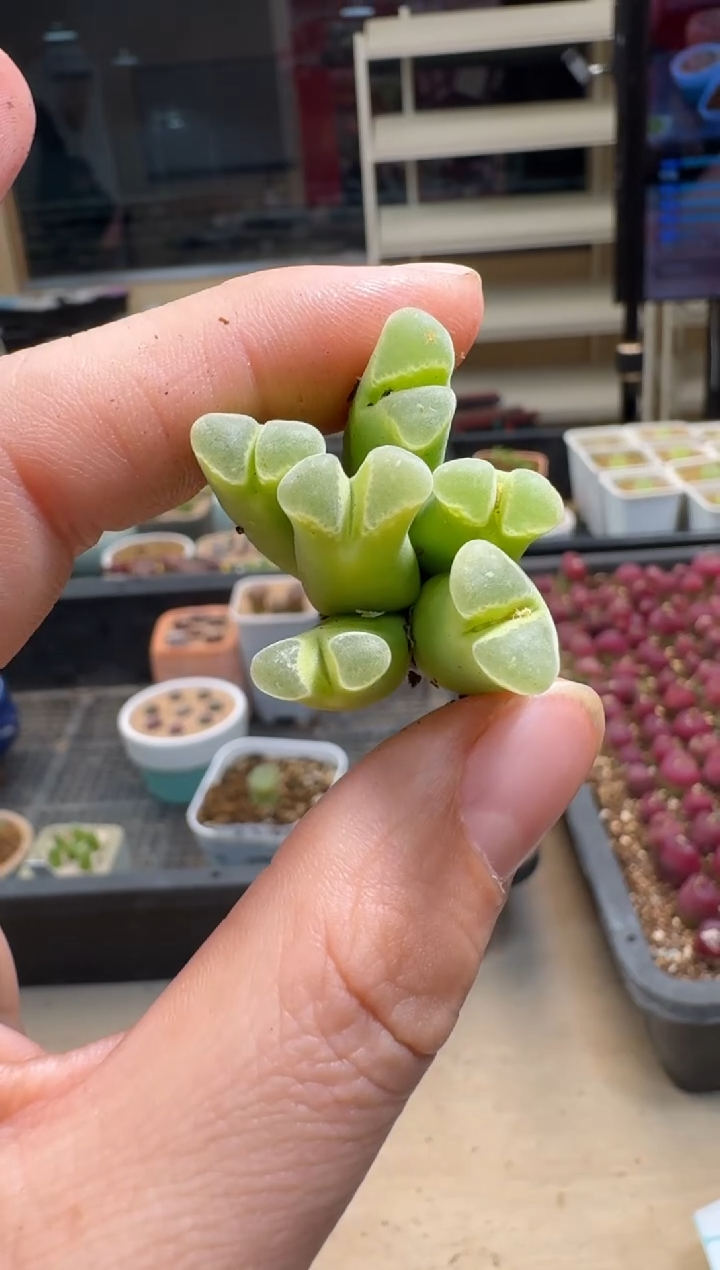 【闪购商品】1-90.