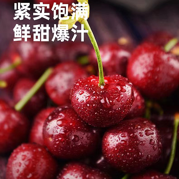 智利XLD车厘子 智利海运g（内附果径卡）桑提娜智利