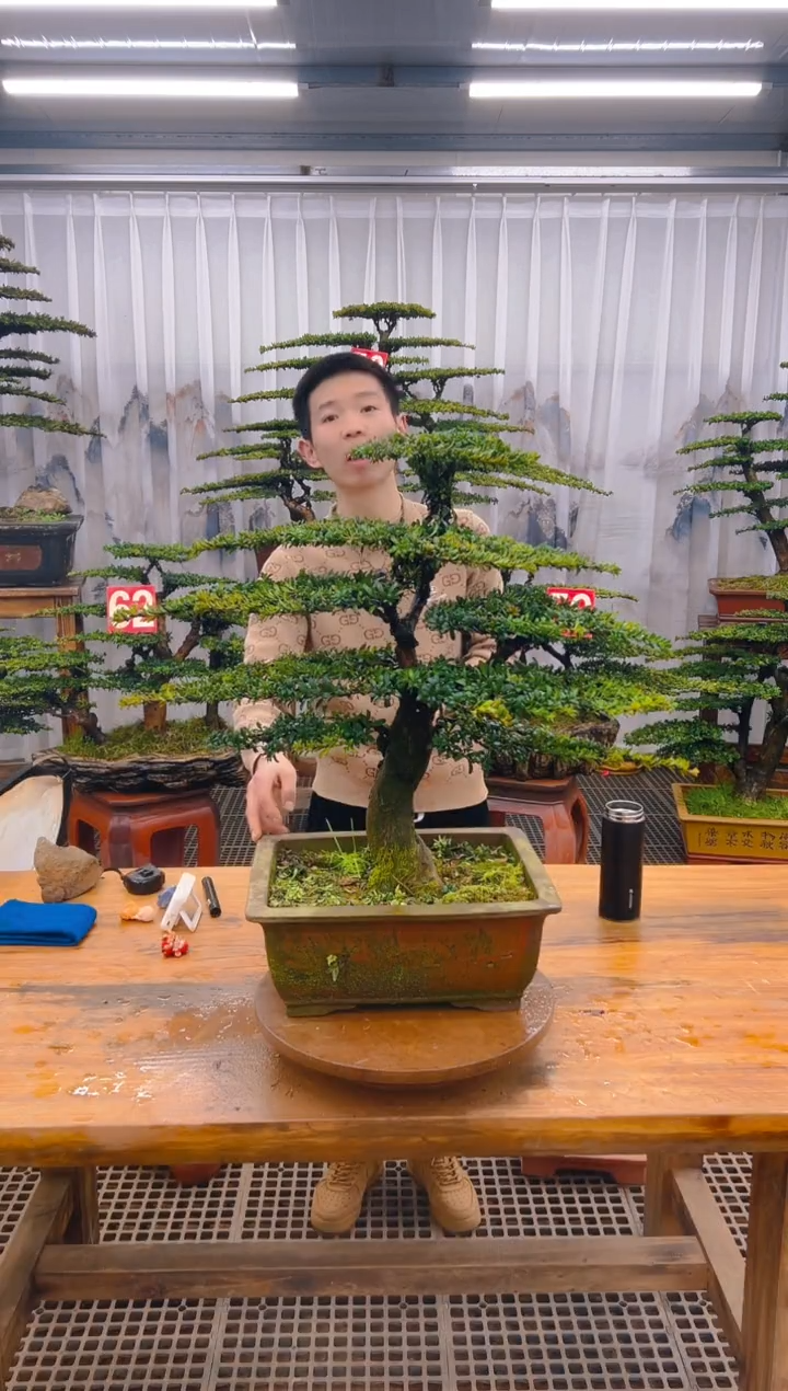 【闪购商品】紫砂精品盆景直播间一物一拍