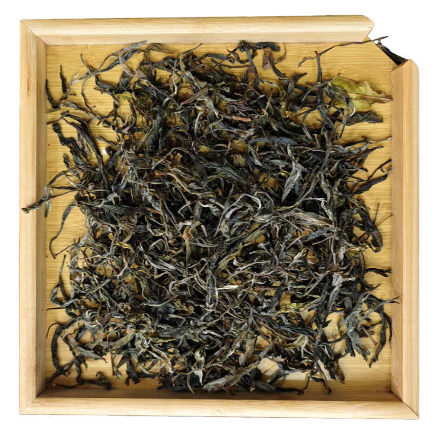 粉丝专享 2025年 刮风寨狮子山生茶散茶 G686 JD26