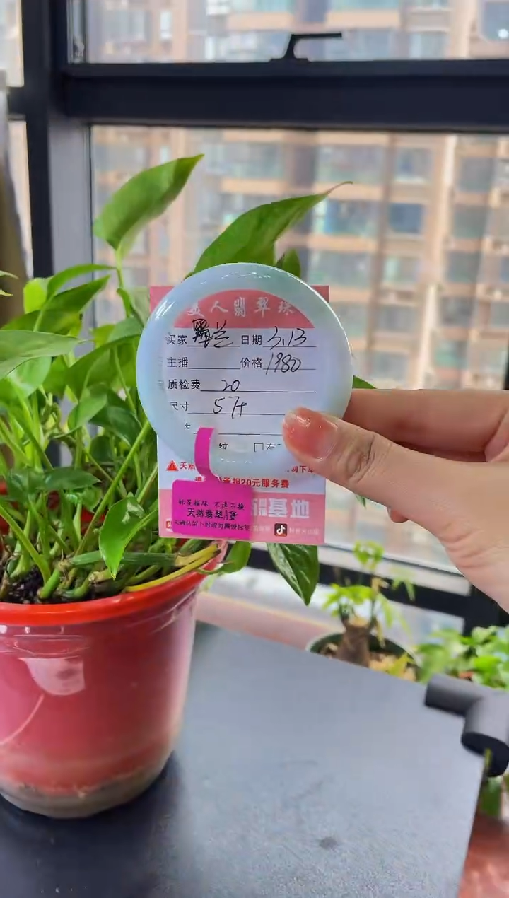 【闪购商品】翡翠未镶嵌手镯手镯