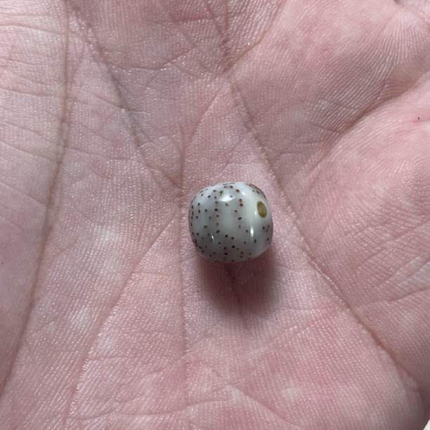 3 海南原生态专属星月菩提压车链接