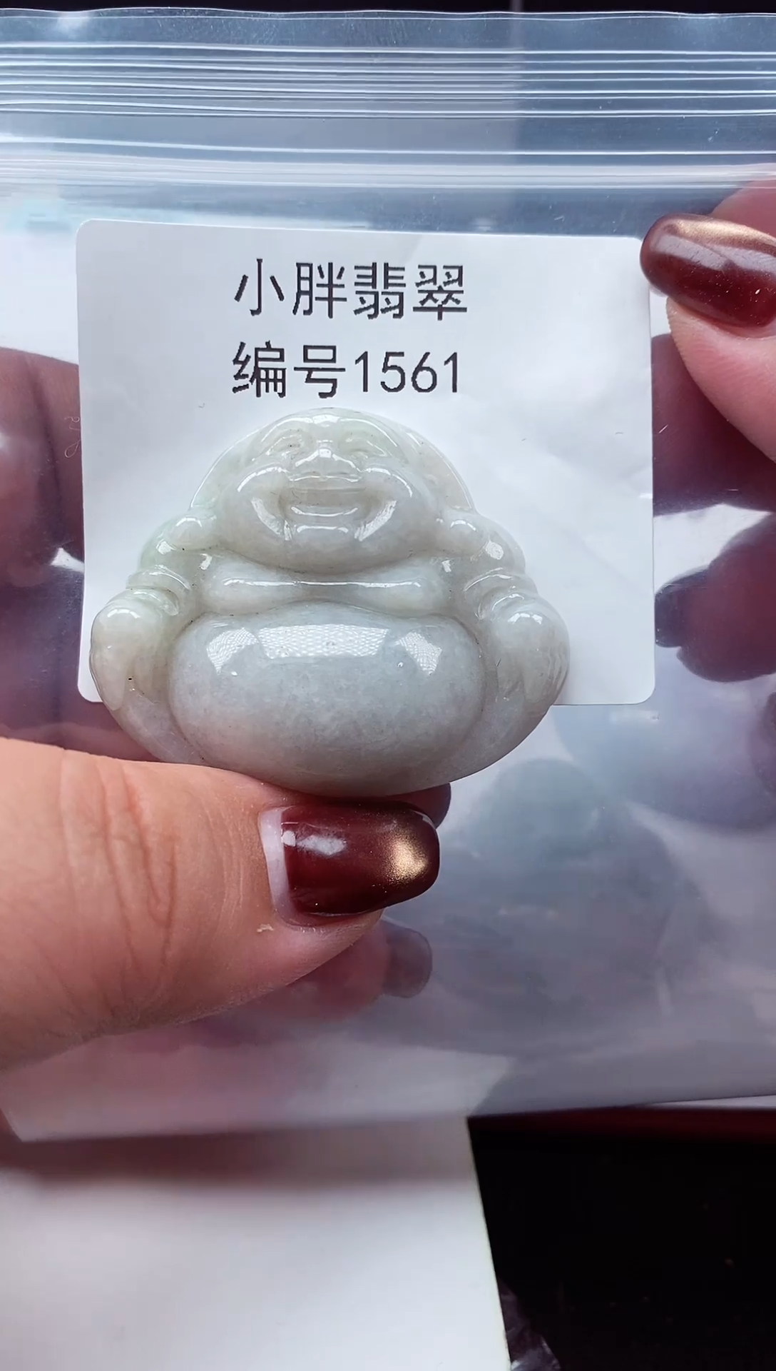 颈饰未镶嵌翡翠缅甸天然A货翡翠1561