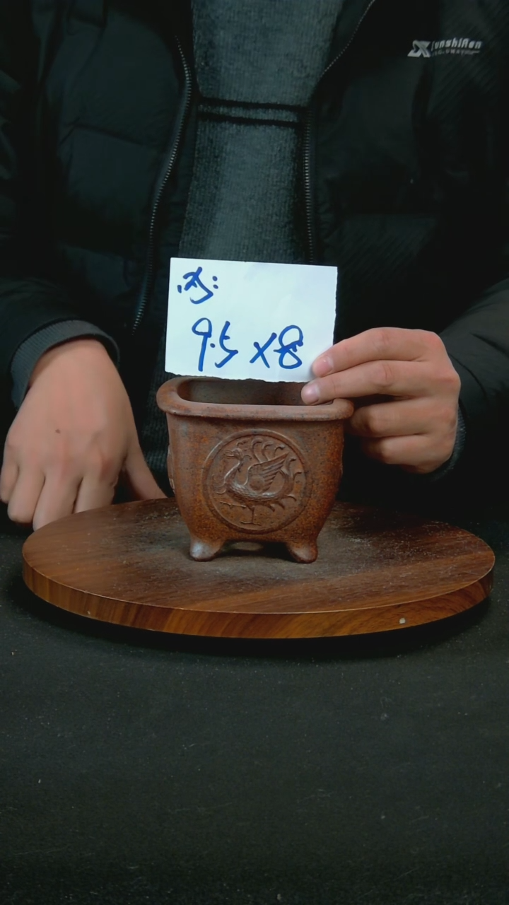 【闪购商品】紫砂P14