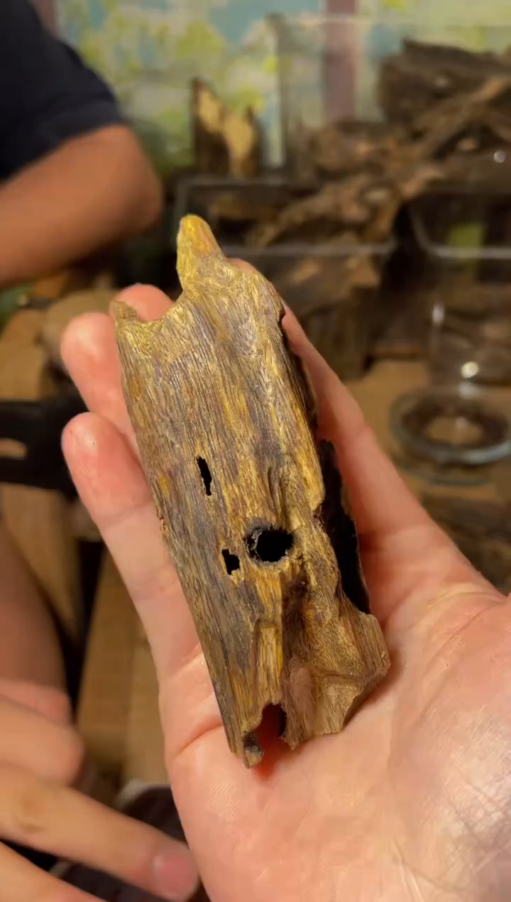 沉香碎屑沉香虫漏49