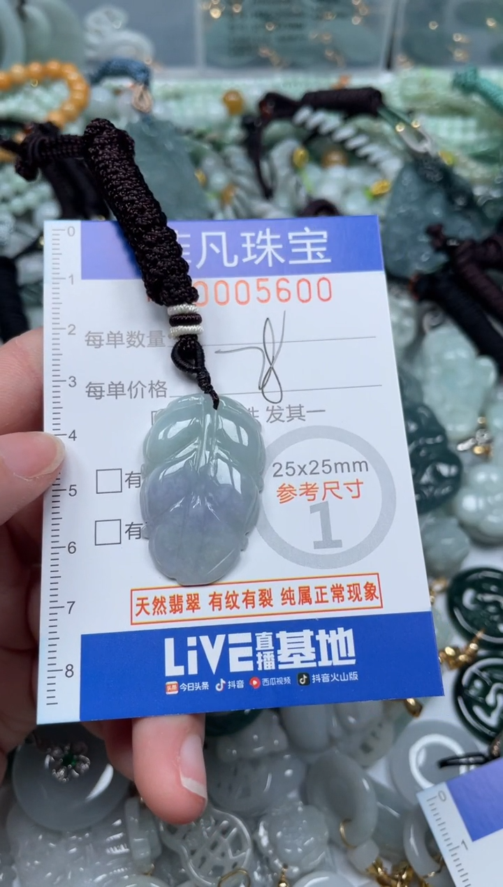 【闪购商品】翡翠颈饰未镶嵌00..5600