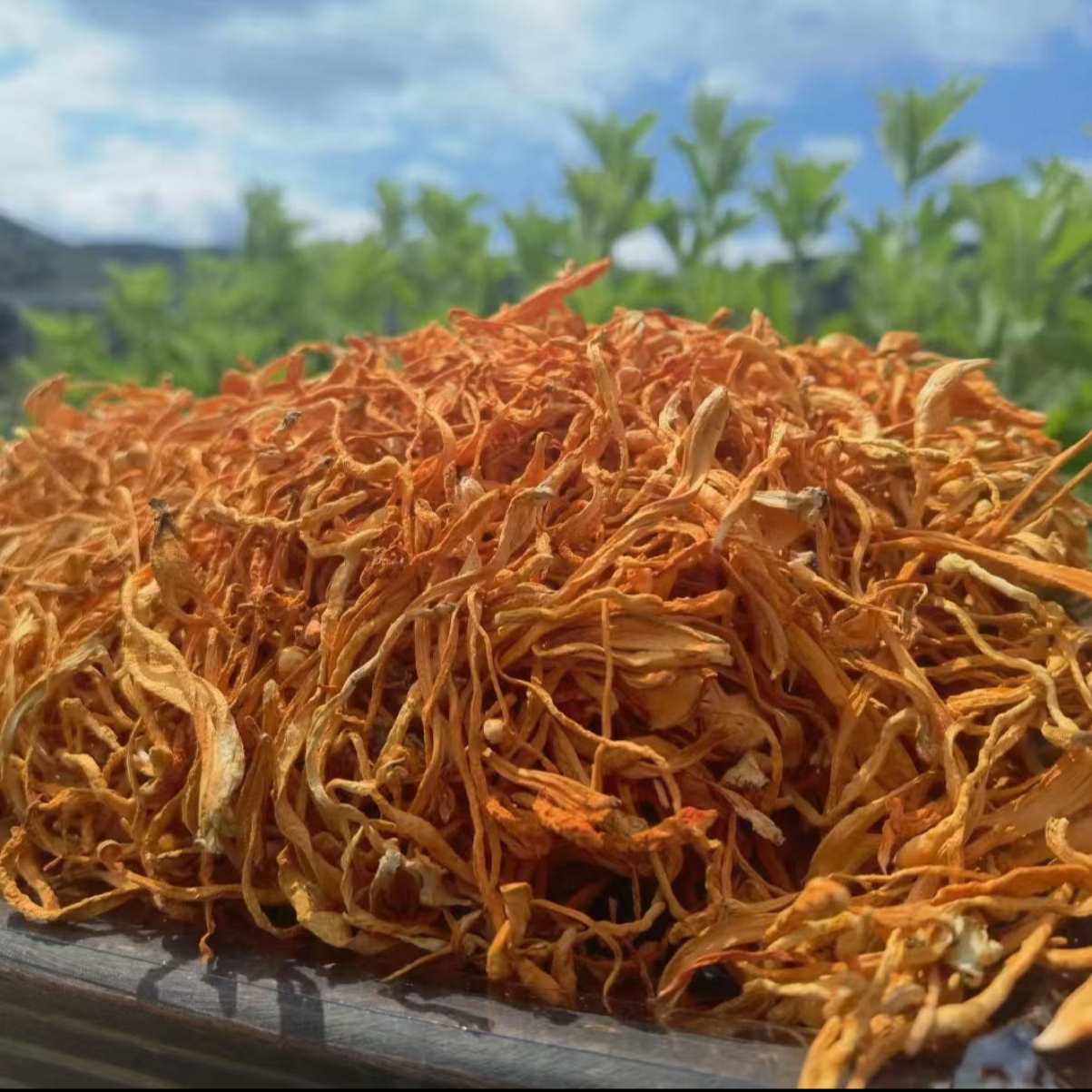 【到手100g】无干燥剂高山虫草花菌菇干货煲汤包