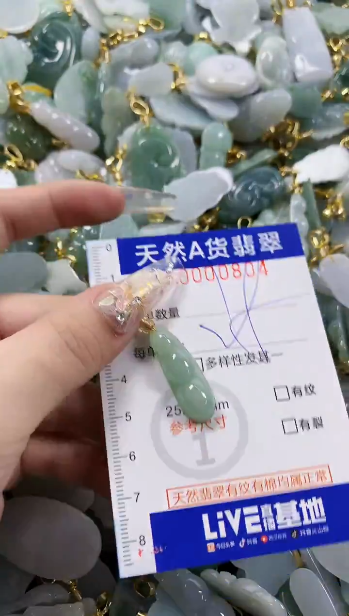 颈饰未镶嵌翡翠天然A货翡翠