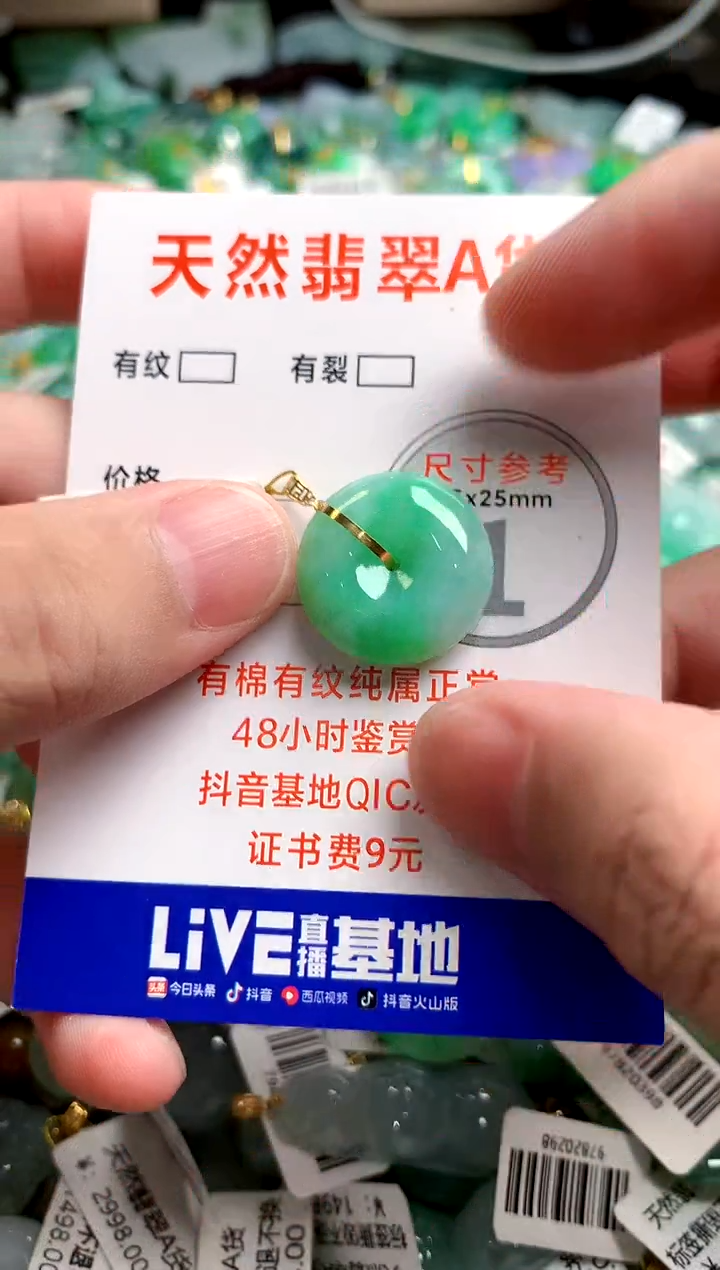 翡翠18K金镶嵌颈饰0717959715