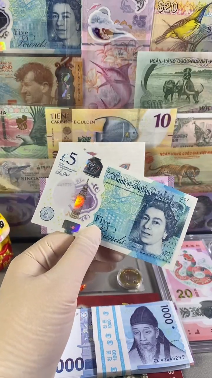 纸币英国5镑 2015年版塑料钞