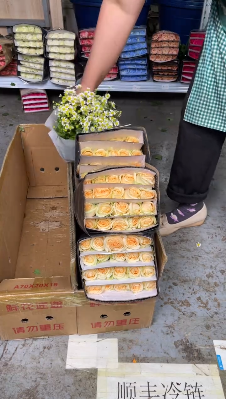 香槟3扎 +洋甘菊1扎