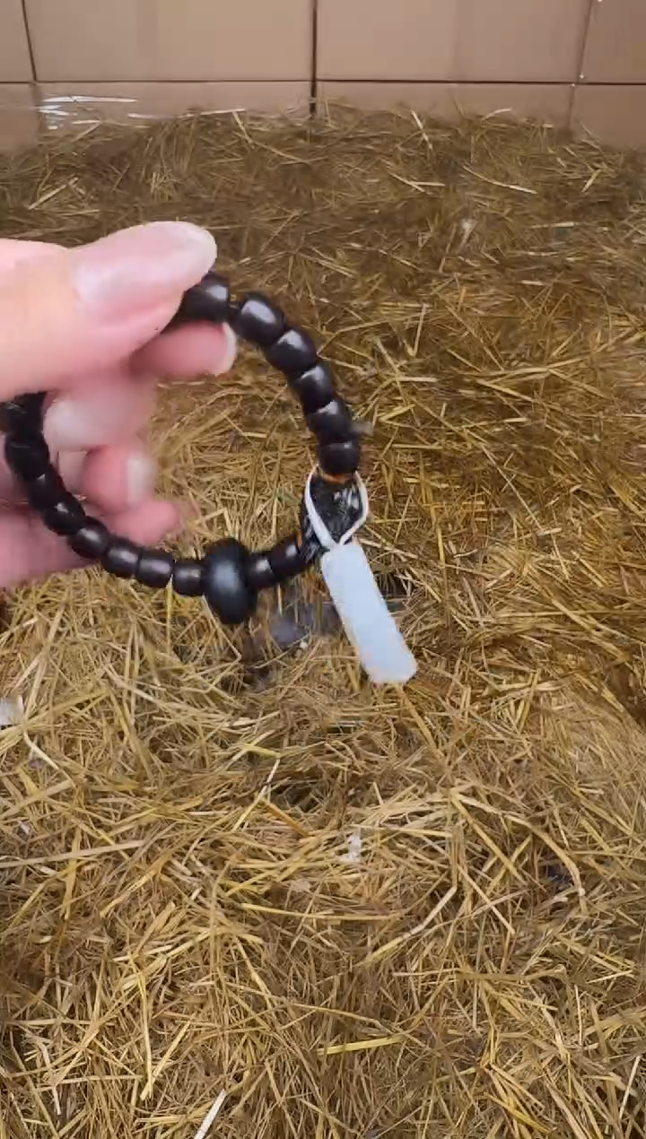 立秋甄选福利闪购商品无礼盒