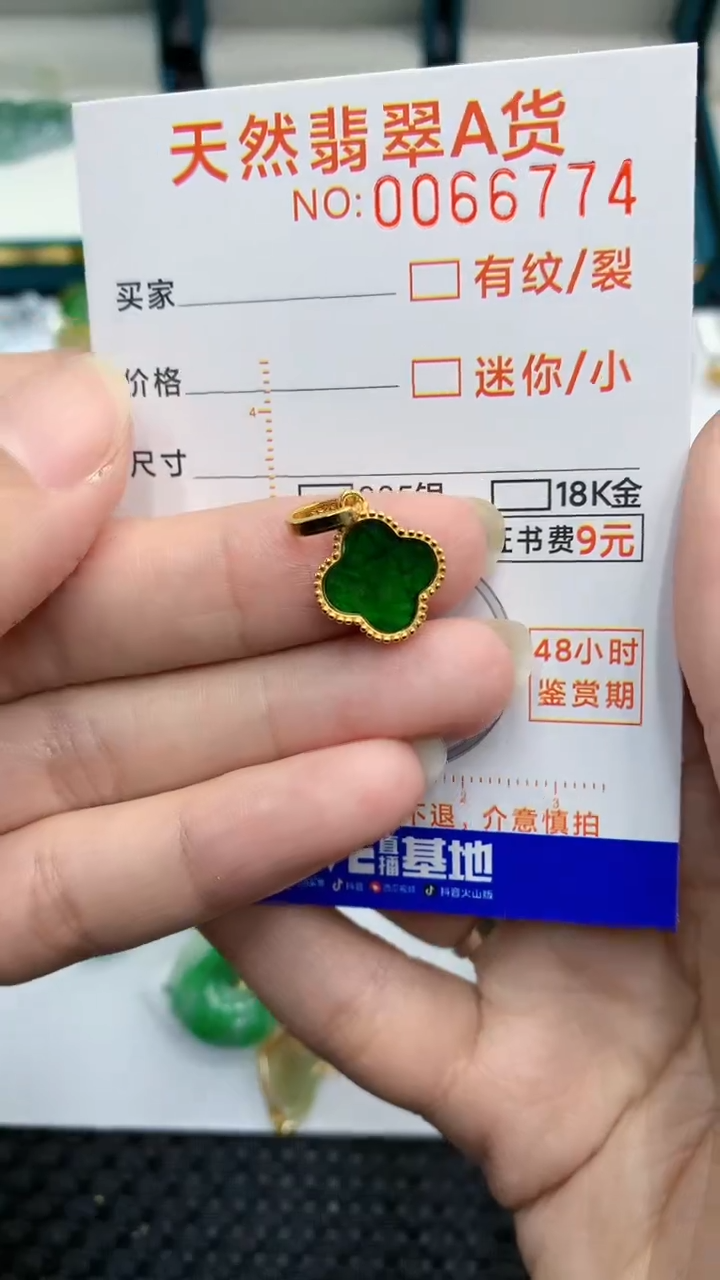 【闪购商品】翡翠颈饰银S925镶嵌            8