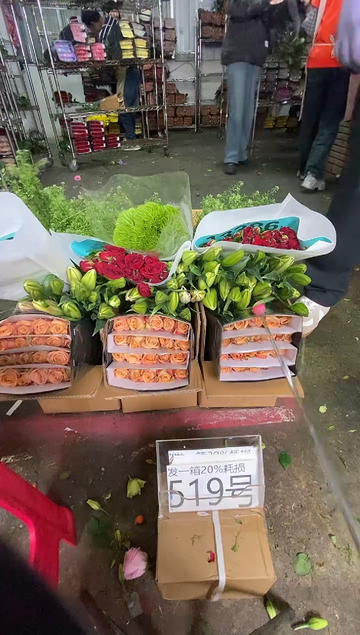 519号♥含20%耗损发一箱