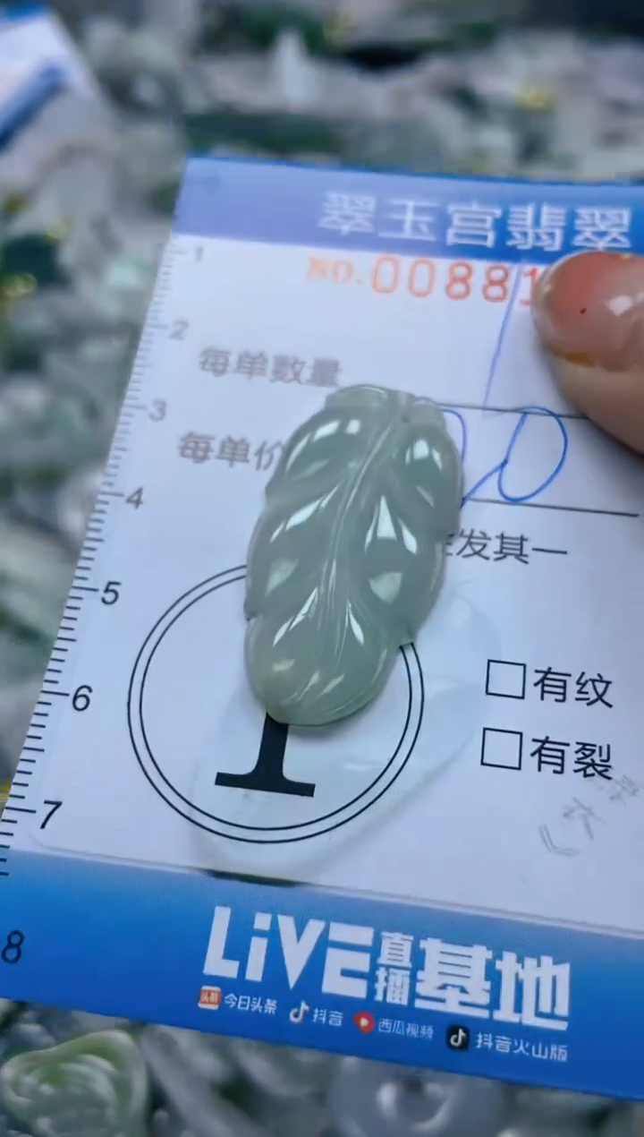 【闪购商品】翡翠颈饰未镶嵌闪购0088176