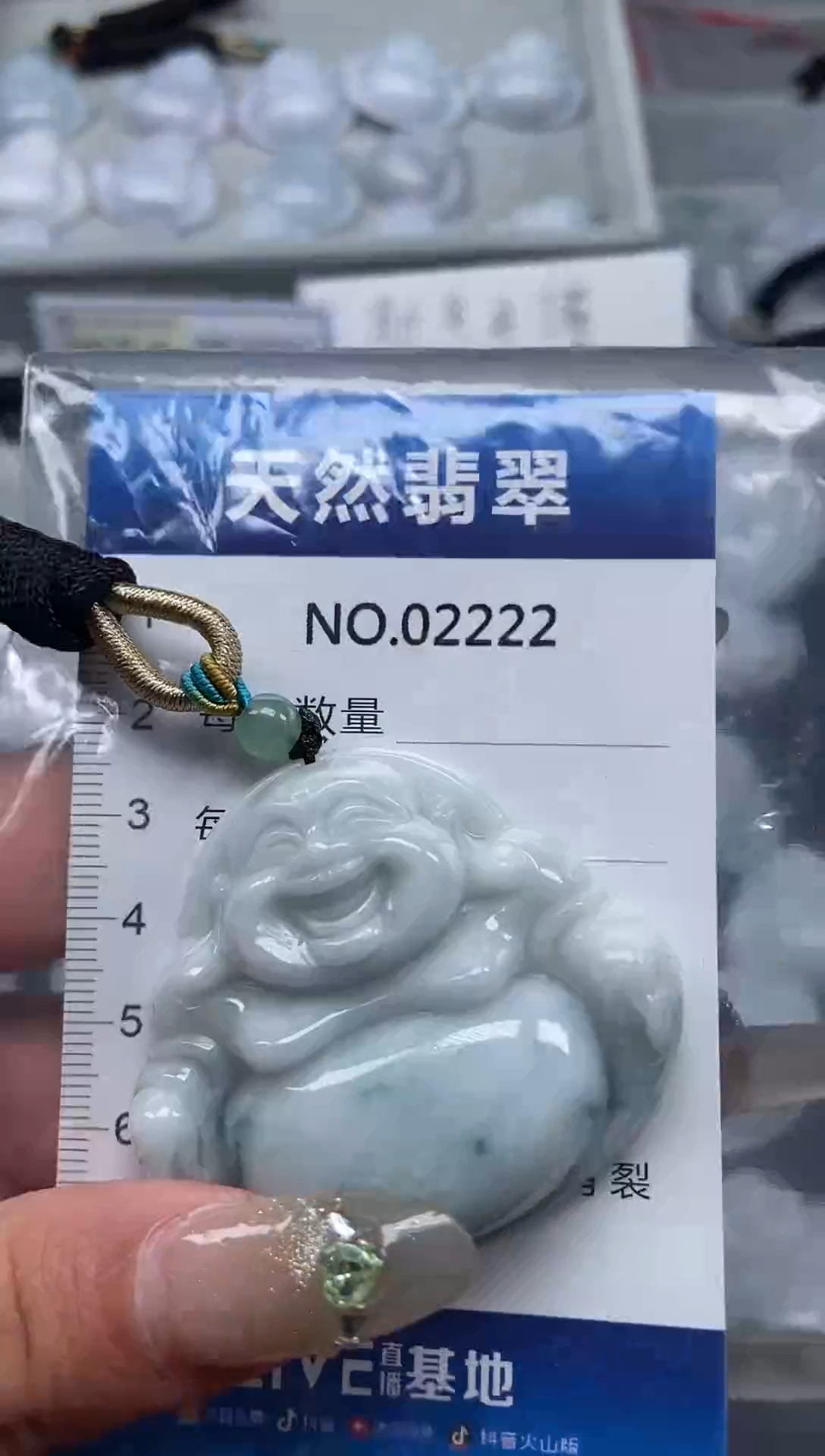 翡翠未镶嵌颈饰纯天然A货翡翠2222