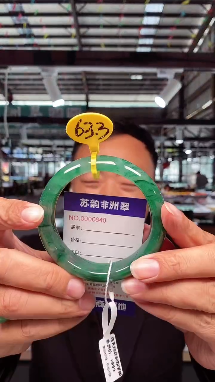 石英质玉（非洲翠）手镯未镶嵌63+