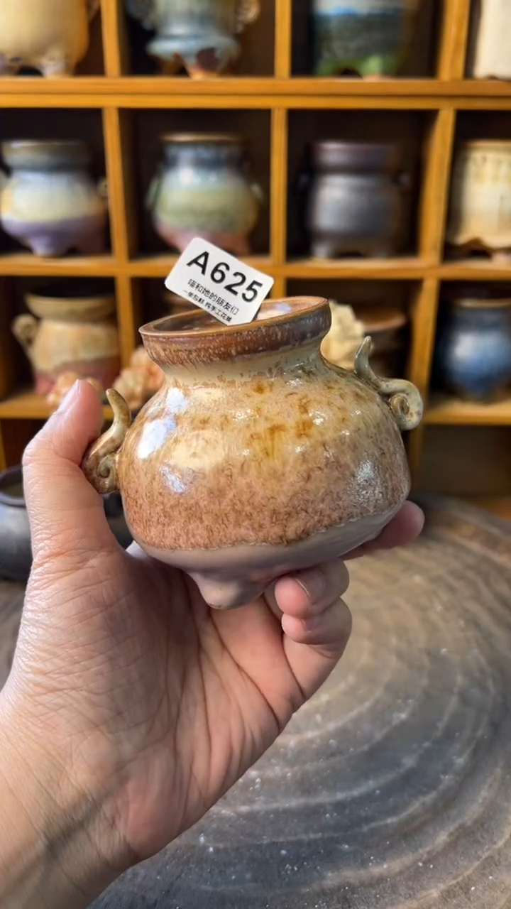 625 内口5【多肉花盆多肉盆】