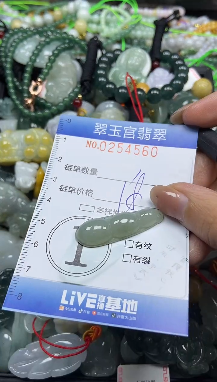 颈饰未镶嵌翡翠闪购C0254560