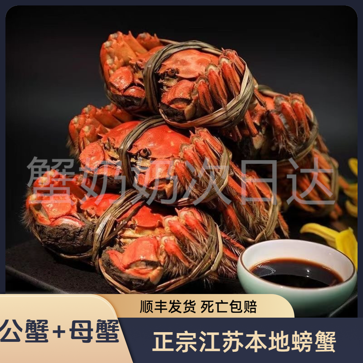 【活蟹公蟹+母蟹】鲜活河蟹1.9-2.2两/8只装组合江苏洪泽湖螃蟹顺丰