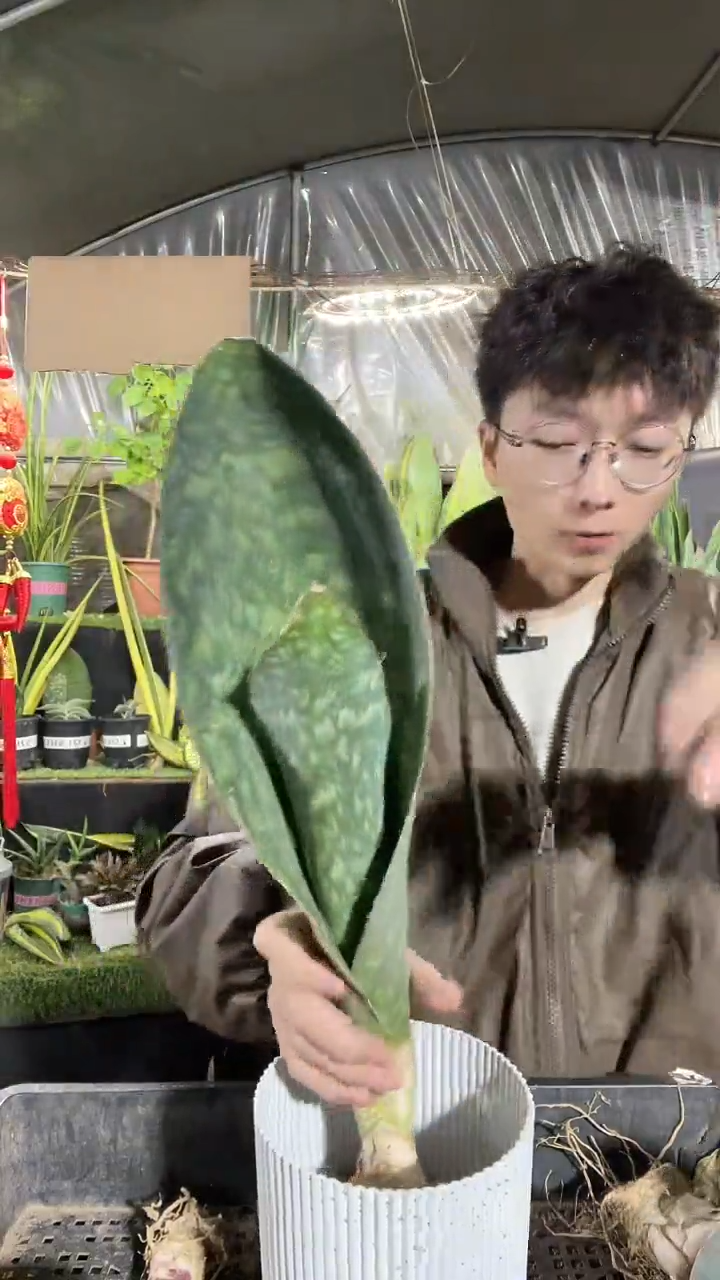 一物一拍翡翠宝镜4号25