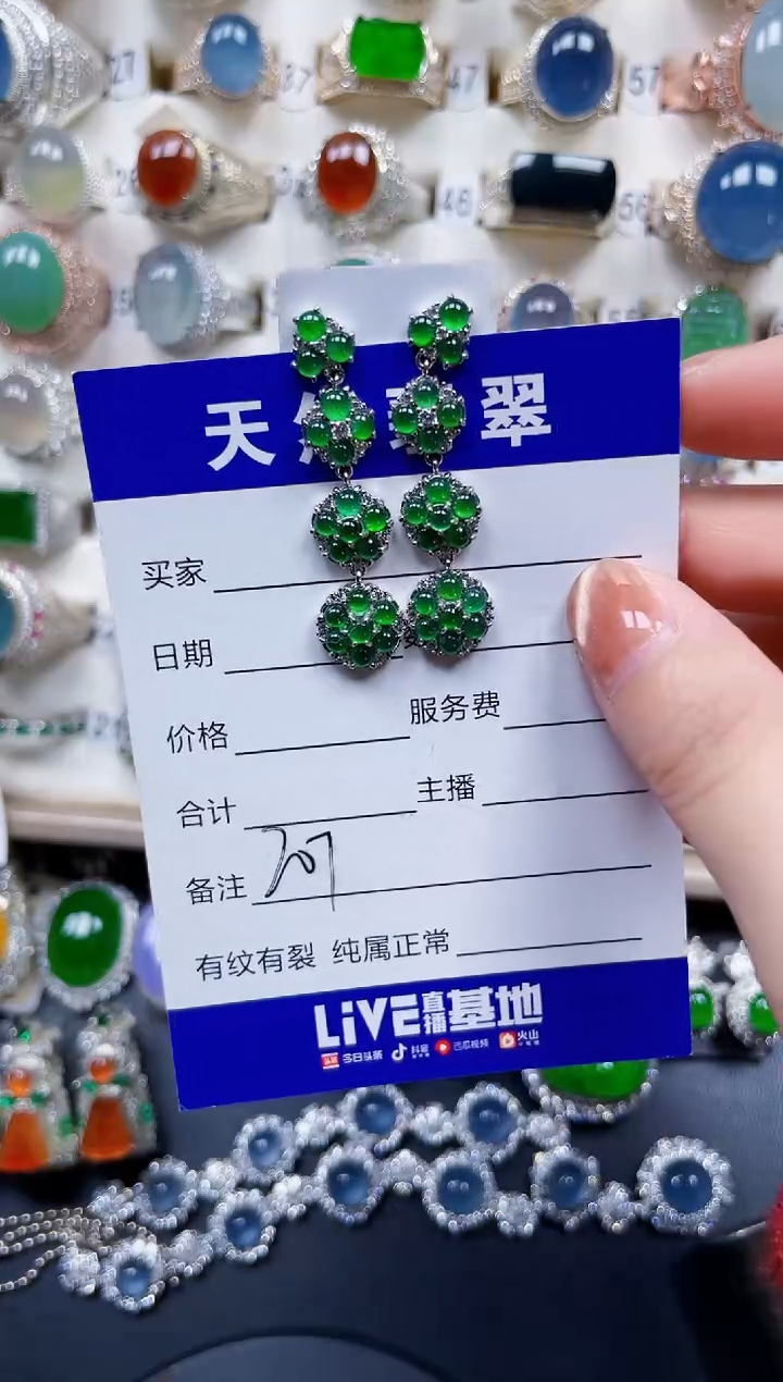 银S925镶嵌翡翠耳饰207