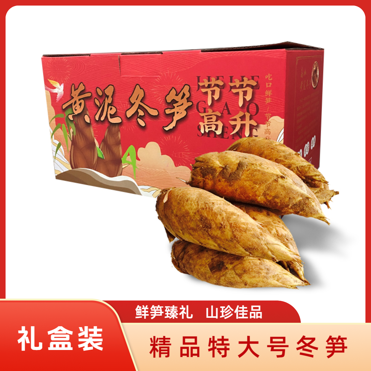 【礼盒装精品冬笋】浙江杭州发货5斤