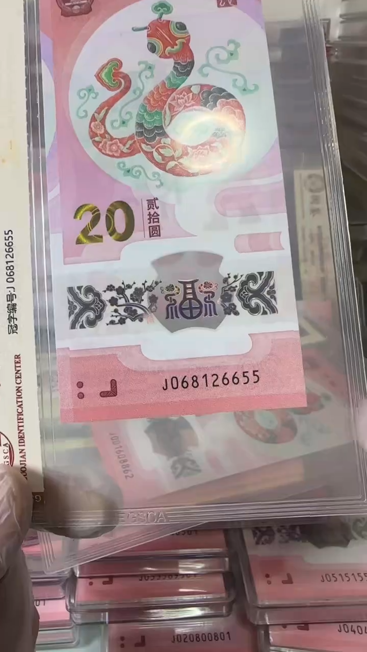 【闪购商品】塑料068126655-蛇钞单张！