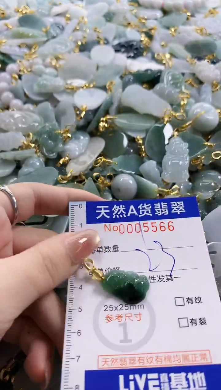 颈饰未镶嵌翡翠天然A货翡翠