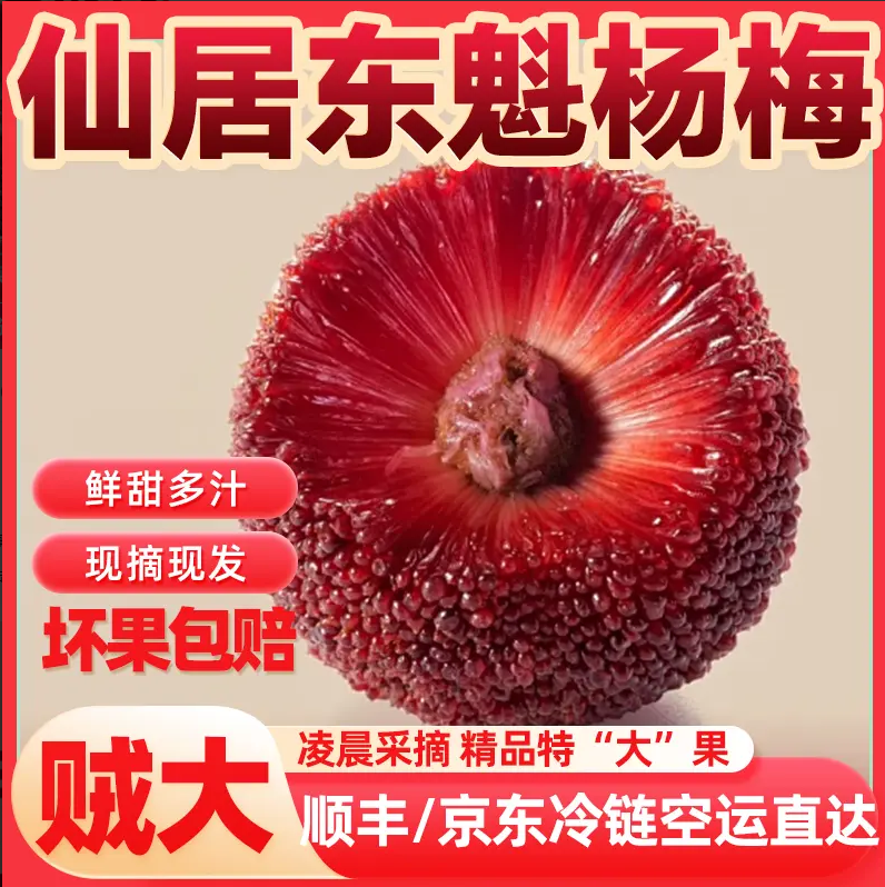 正宗仙居【东魁杨梅】9A大果顺丰冷链新鲜凌晨现采现摘送礼礼盒装