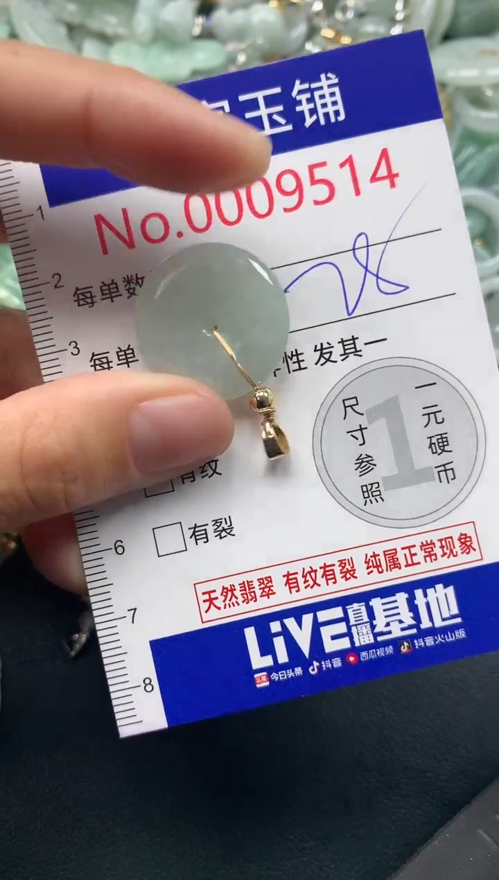 颈饰未镶嵌翡翠9514