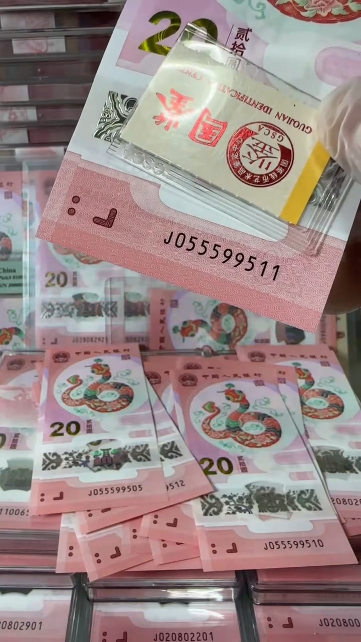 【闪购商品】塑料055599511-蛇钞单张！