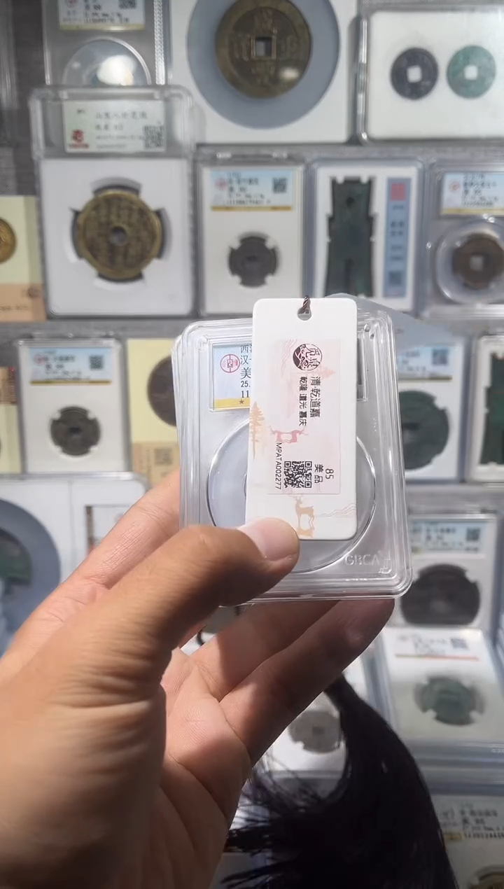 铜齐泉  h五z  蓝秀 