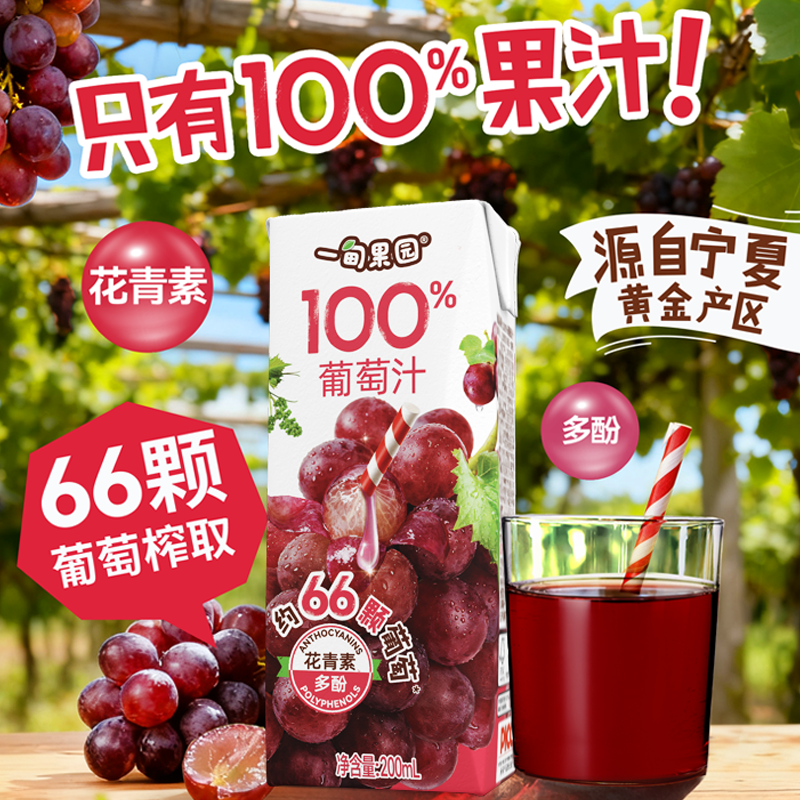 一甸园100%葡萄汁 清爽解腻果汁