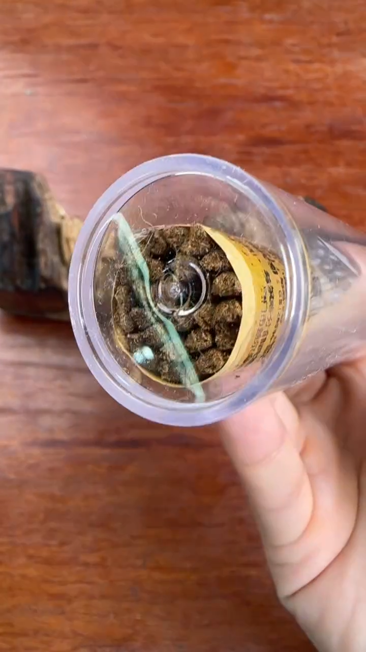 线香48号  90年代海南霸王岭老棋楠 30克