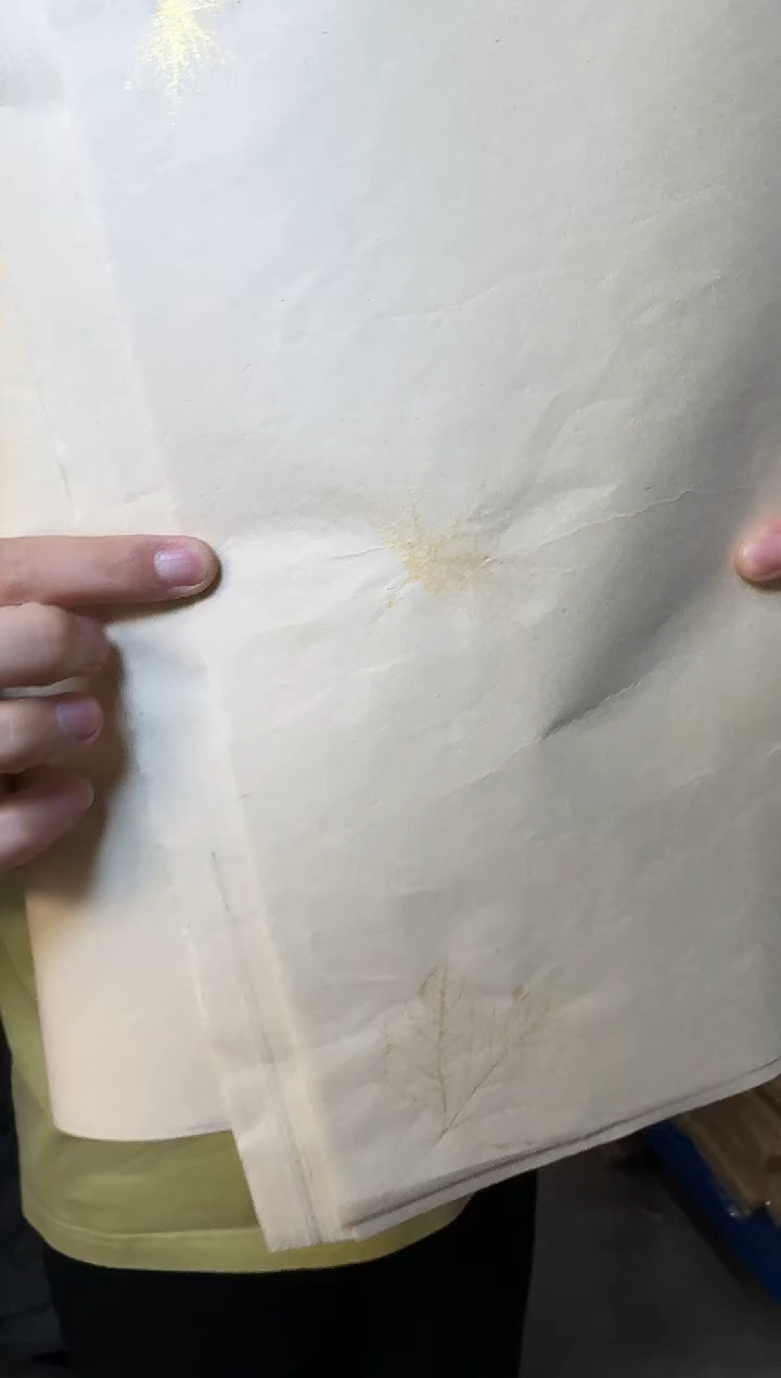 仿古枫叶四开1包