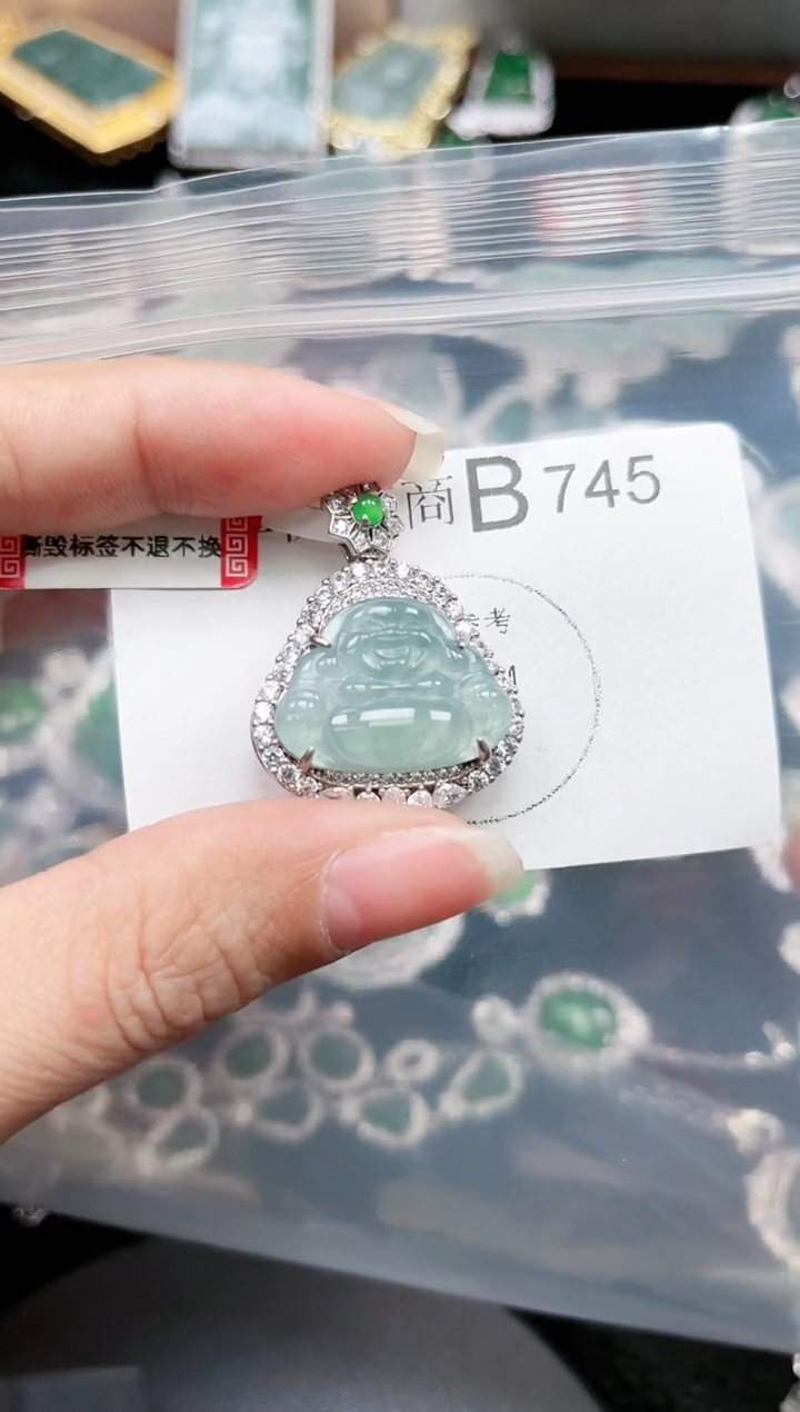 【闪购商品】翡翠颈饰未镶嵌赠皮绳745