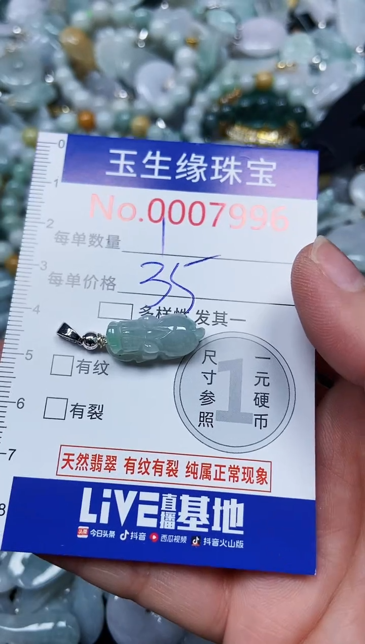 【闪购商品】翡翠颈饰未镶嵌闪购00007996