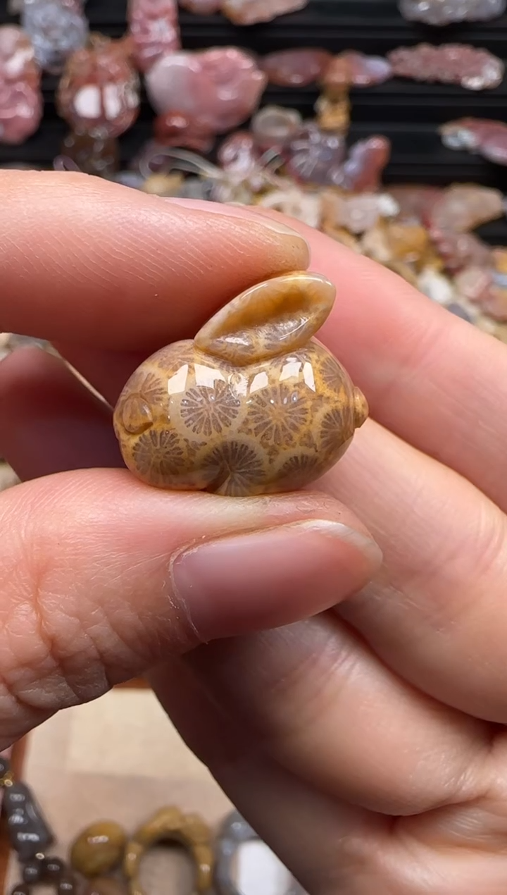 【闪购商品】硅化珊瑚（珊瑚玉）颈饰未镶嵌522