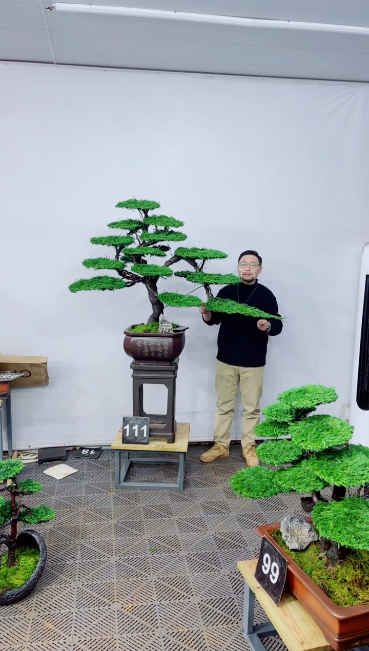 无花朵盆景.....