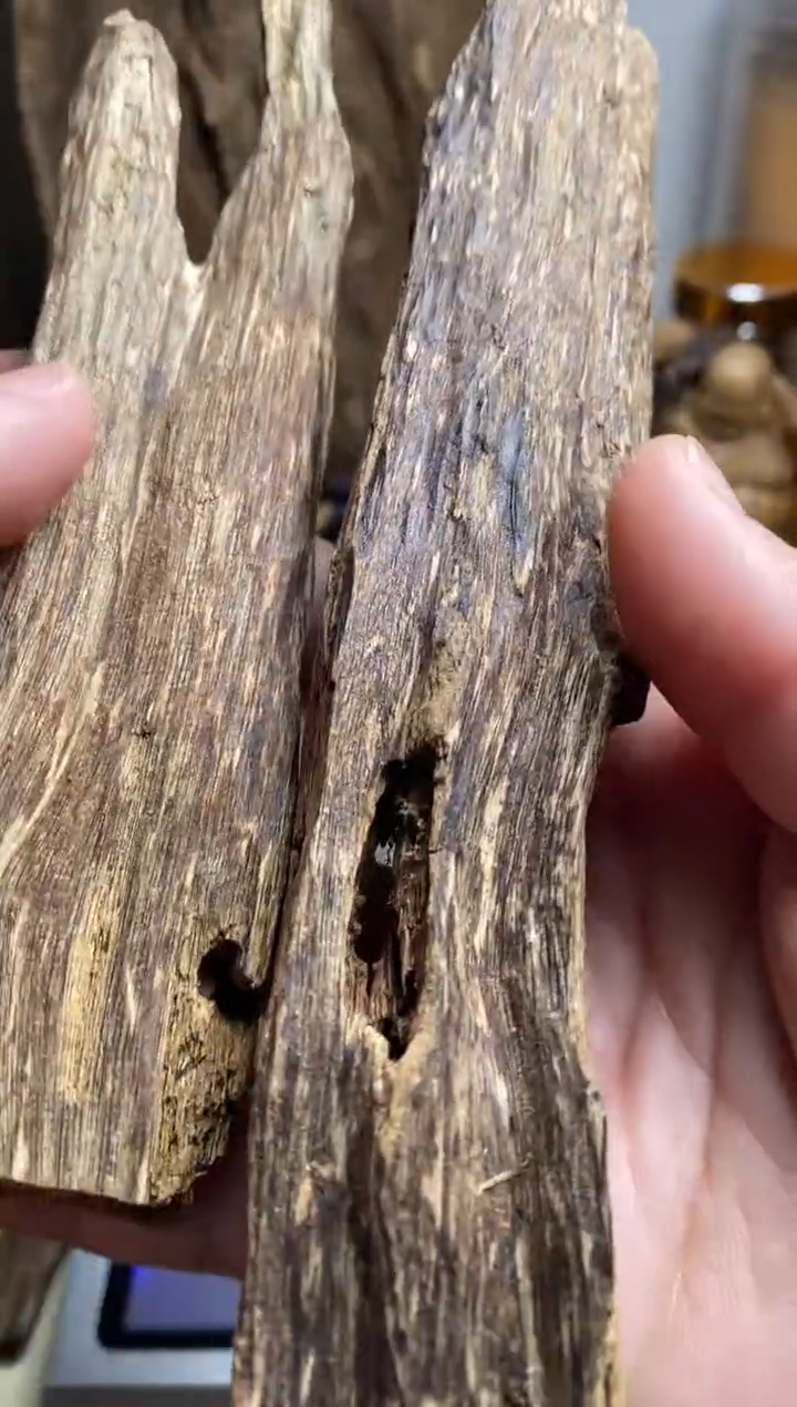 【闪购商品】沉香手把件海南沉香虫漏料54克