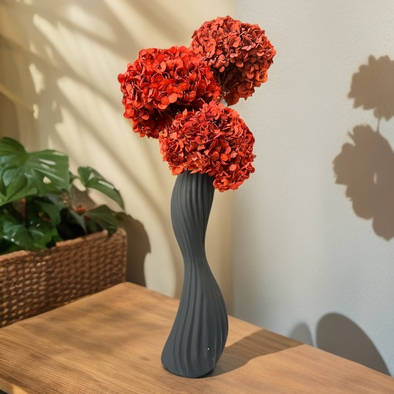 【安哥拉红绣球】永生花绣球花节日花单插年宵花室内居家装饰真花