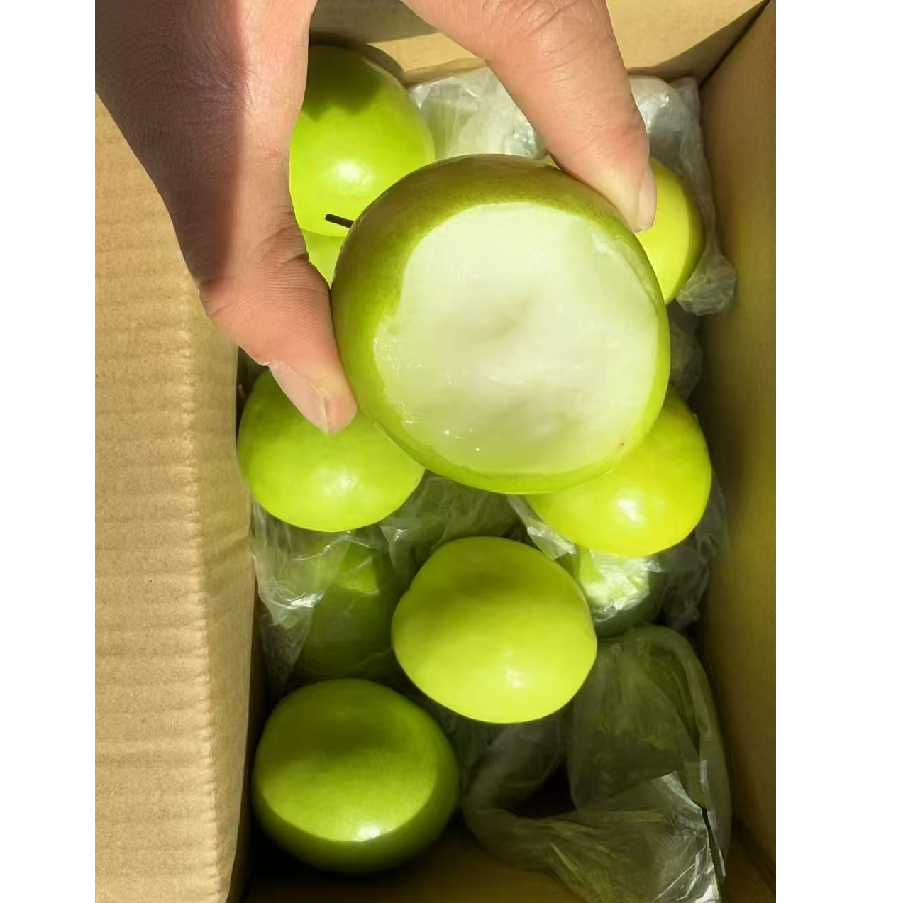 【柒鲜果】好吃的牛奶枣 散装三斤 顺丰包邮