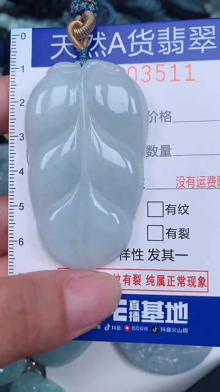 翡翠未镶嵌颈饰...0003511