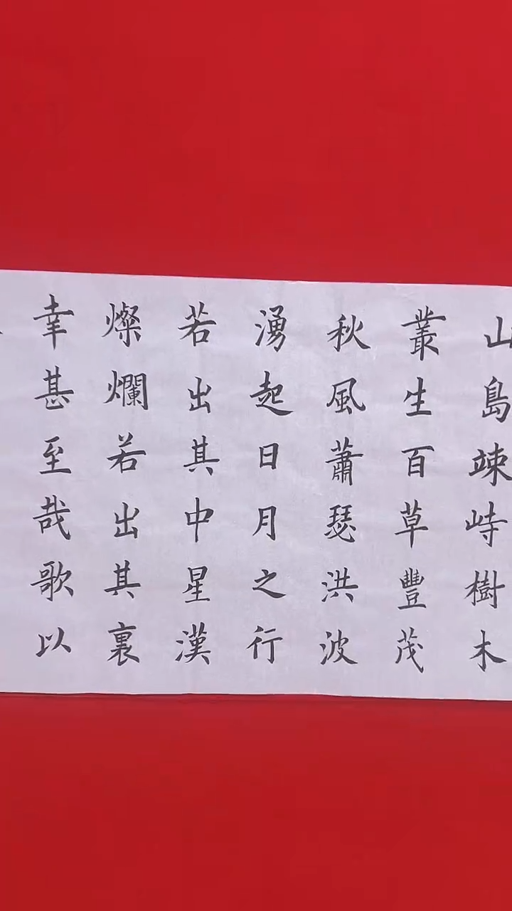 【闪购商品】书法1111111111111111