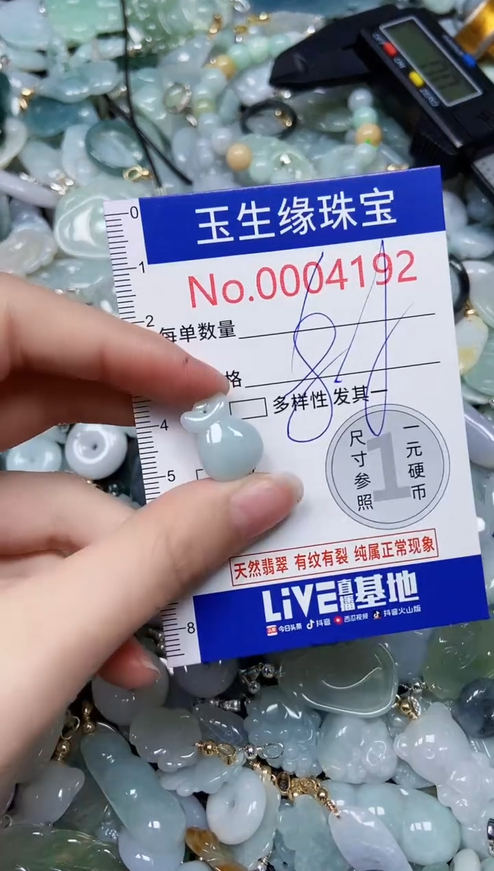 【闪购商品】翡翠颈饰未镶嵌闪购00004192