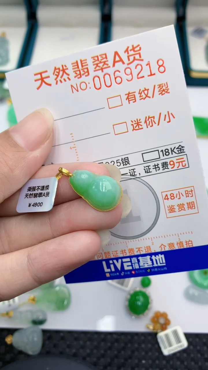 【闪购商品】翡翠颈饰18K金镶嵌            8