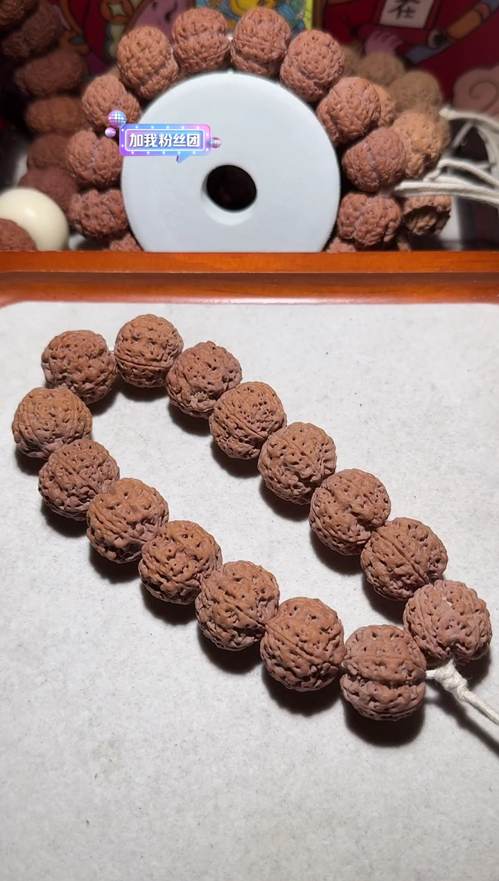 【闪购商品】金刚菩提手串超头满肉五星双龙21
