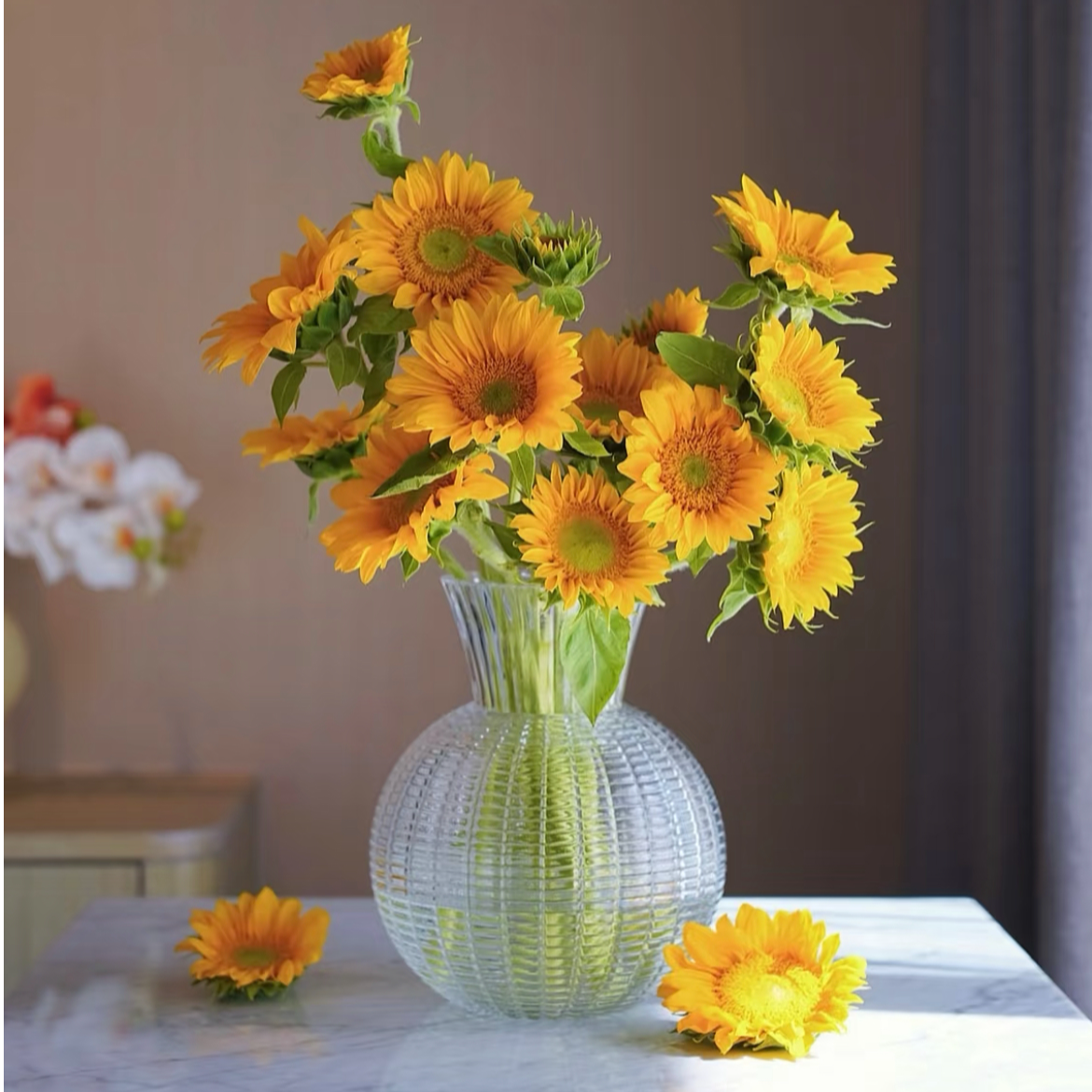 【绿心向日葵】云南高品质鲜花颜值高家居鲜花